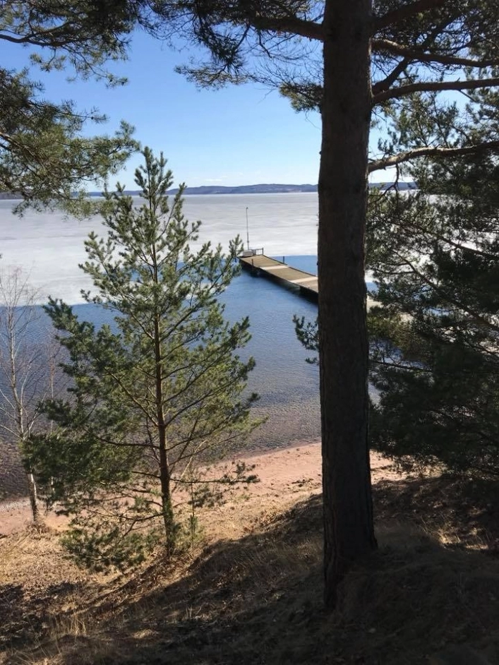zobacz camping - zdjęcie 11