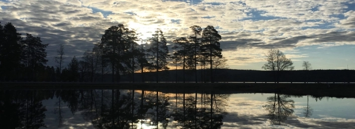 zobacz camping - zdjęcie 7