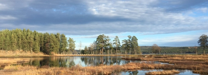 zobacz camping - zdjęcie 1