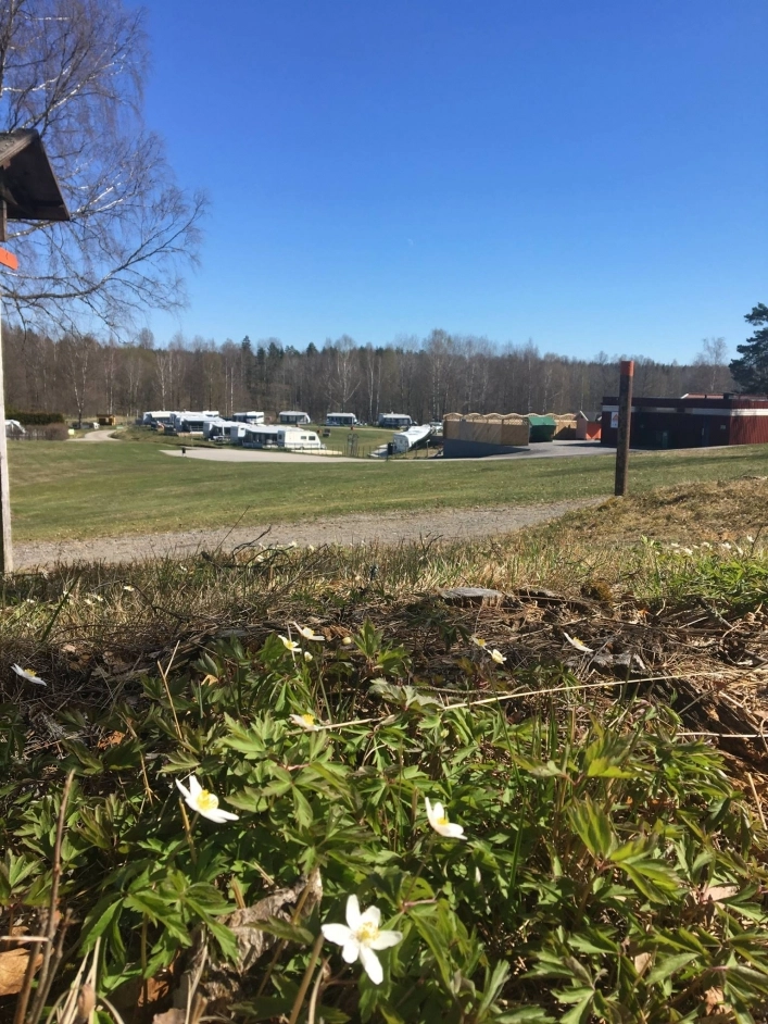 zobacz camping - zdjęcie 23