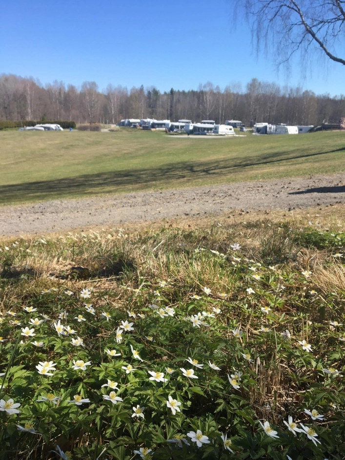 zobacz camping - zdjęcie 21