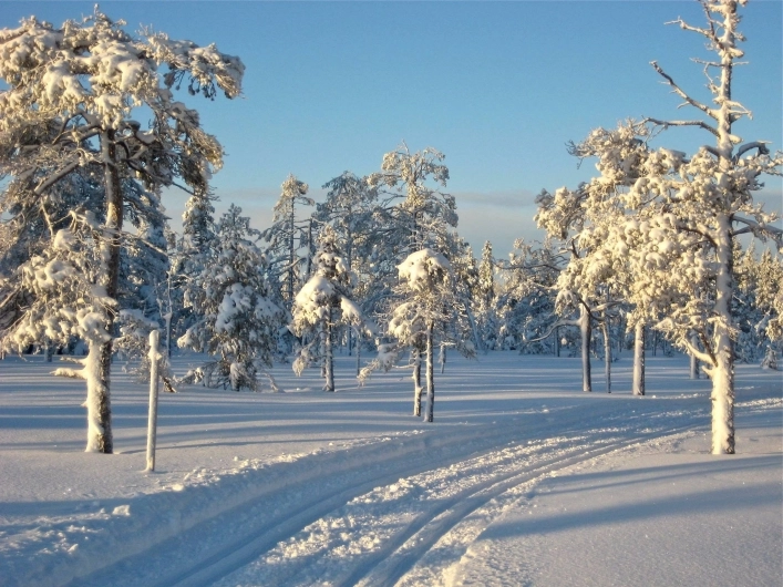 zobacz camping - zdjęcie 12