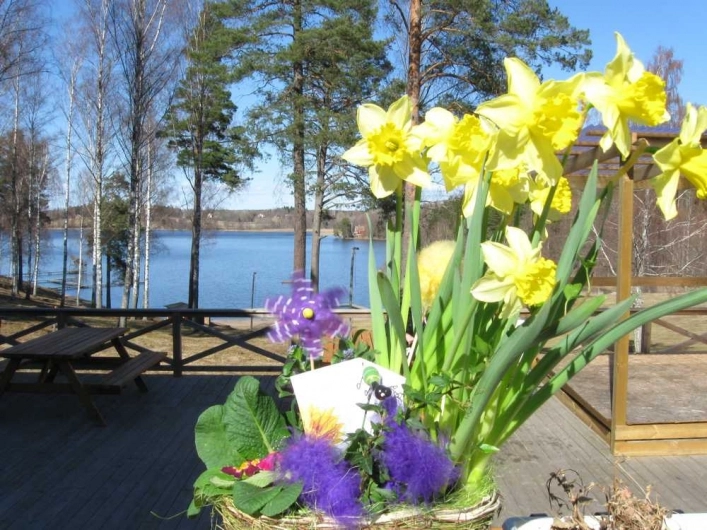 zobacz camping - zdjęcie 3