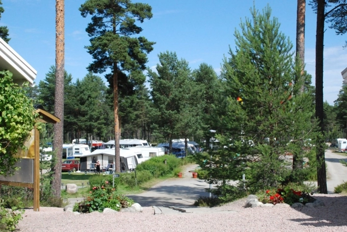 zobacz camping - zdjęcie 8
