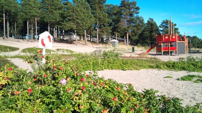 zobacz camping - zdjęcie 6