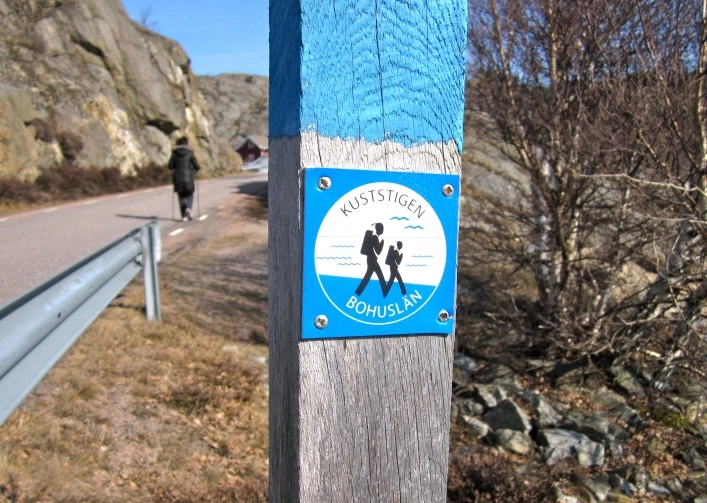 zobacz camping - zdjęcie 17