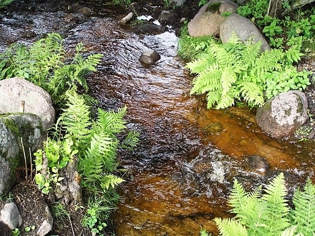 zobacz camping - zdjęcie 18