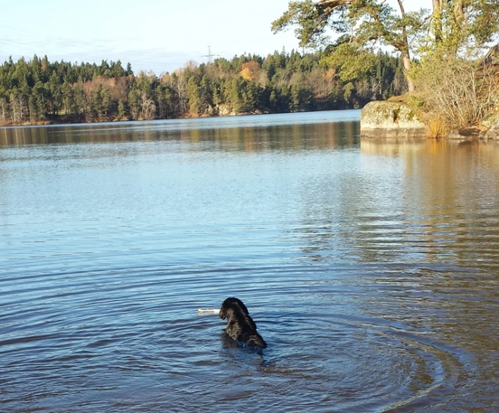 Mårängens Camping - zdjęcie 4