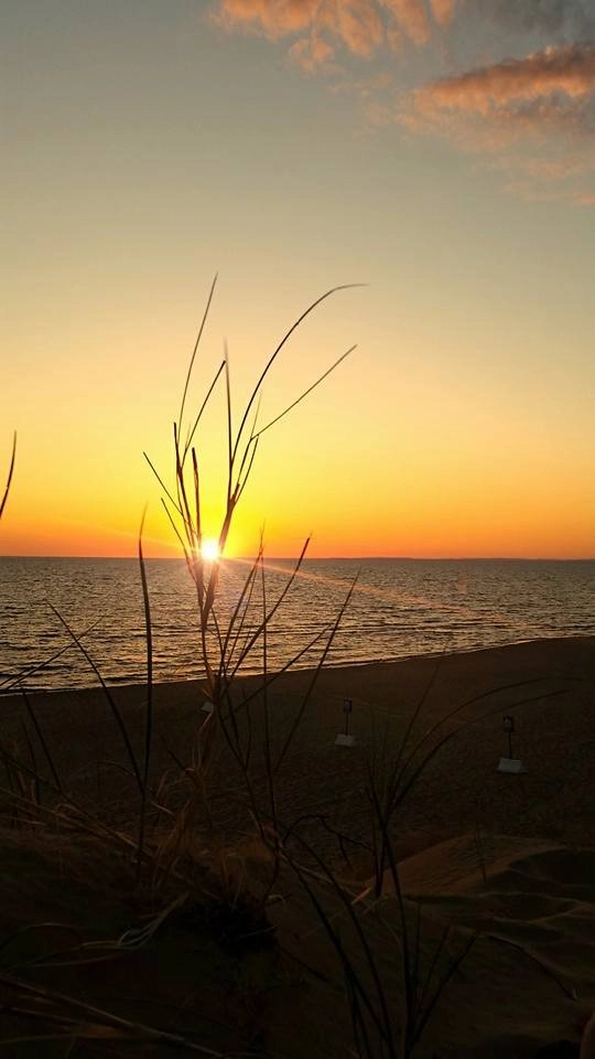 zobacz camping - zdjęcie 14