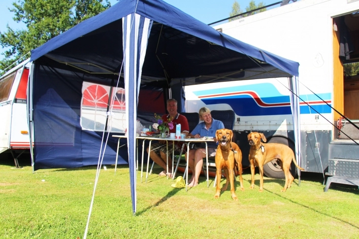 zobacz camping - zdjęcie 13