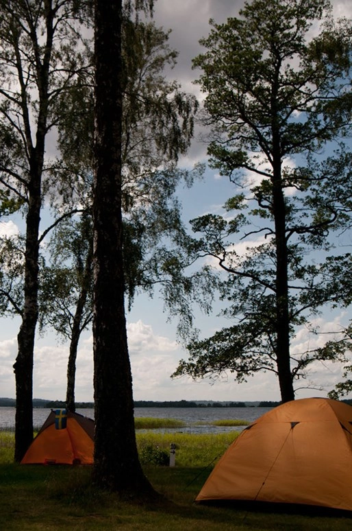 zobacz camping - zdjęcie 11