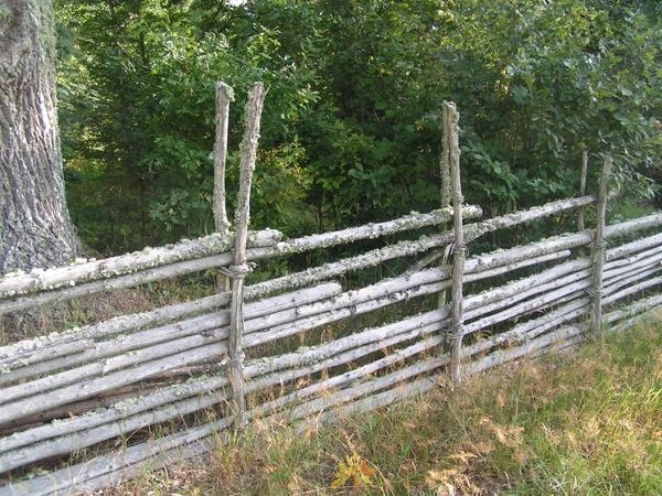 zobacz camping - zdjęcie 9