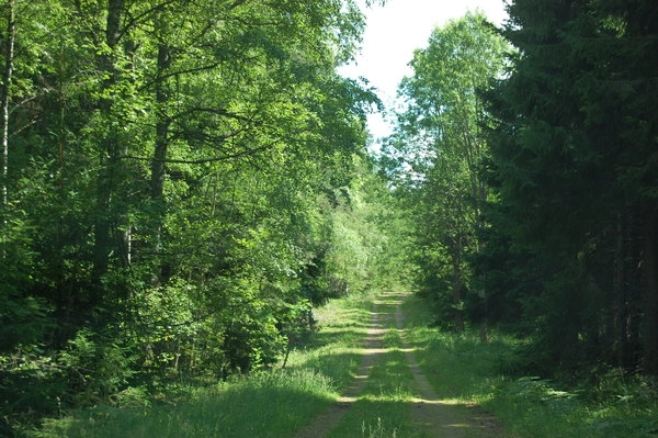 zobacz camping - zdjęcie 8