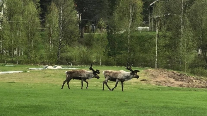 zobacz camping - zdjęcie 20
