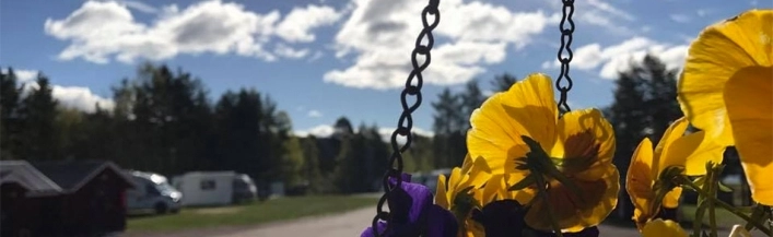 zobacz camping - zdjęcie 17