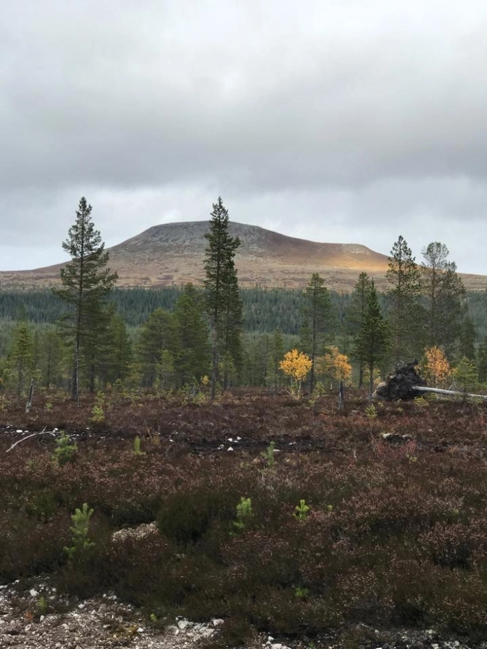 zobacz camping - zdjęcie 9