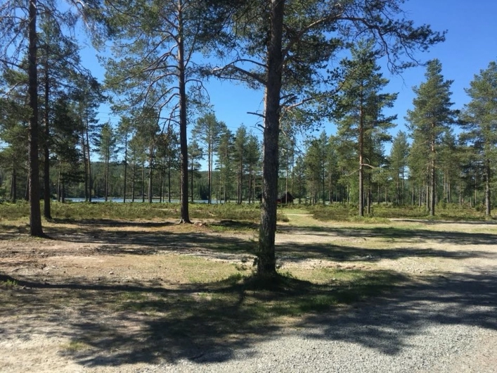 zobacz camping - zdjęcie 8