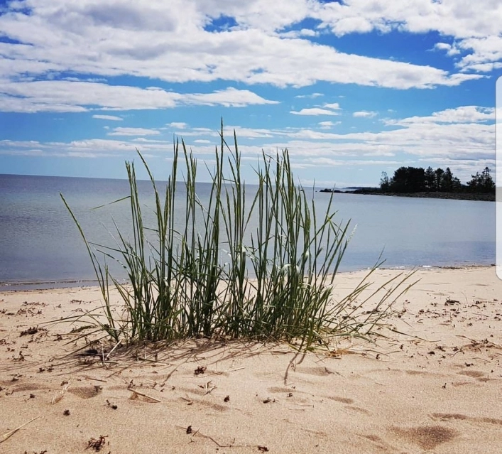 zobacz camping - zdjęcie 14