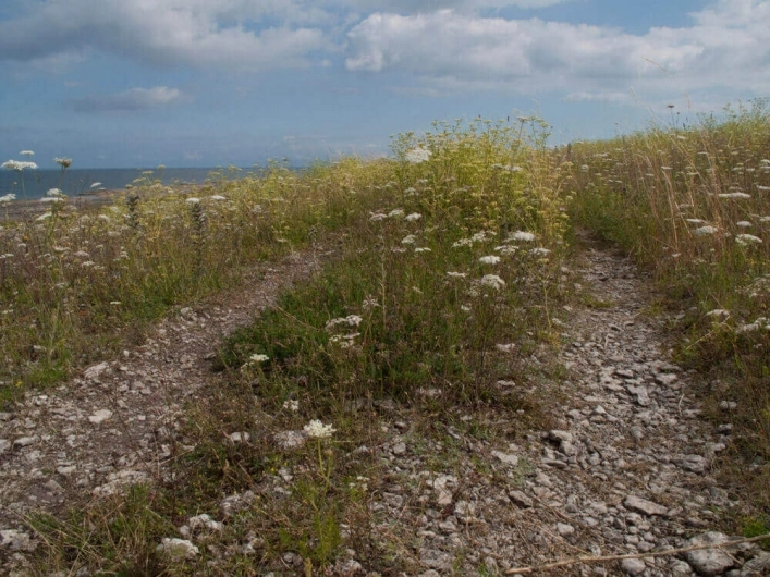 zobacz camping - zdjęcie 10