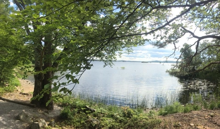 zobacz camping - zdjęcie 13