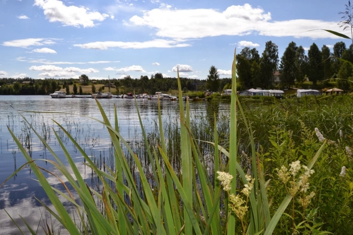 zobacz camping - zdjęcie 6