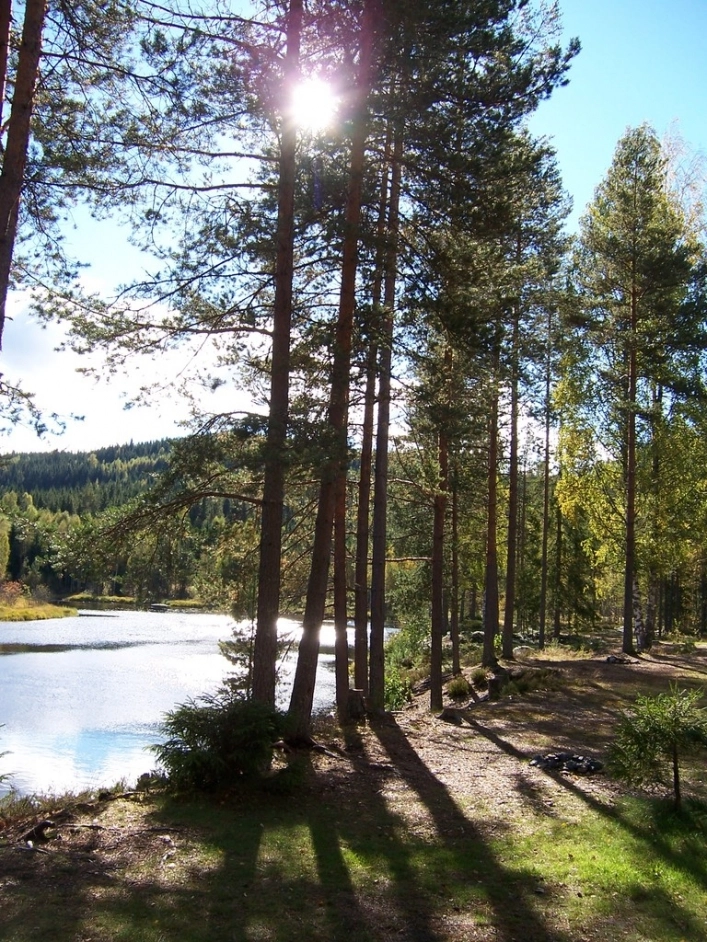 zobacz camping - zdjęcie 15