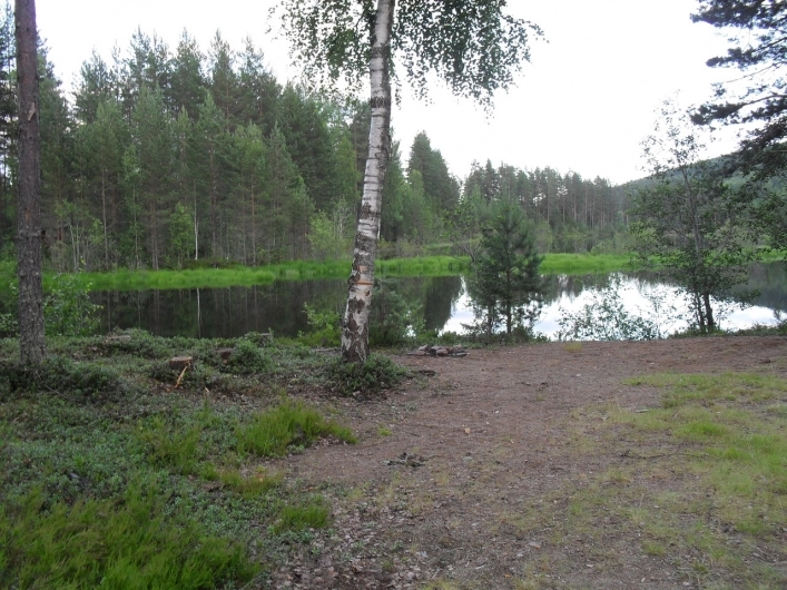 Nya Skogsgården - zdjęcie 4