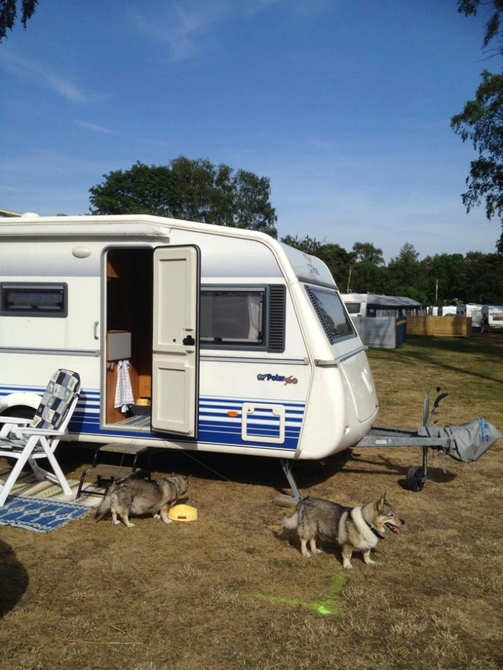 zobacz camping - zdjęcie 10