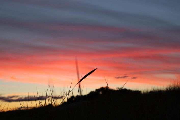 Nybrostrands Camping - zdjęcie 1