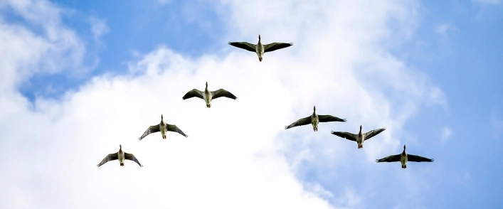 zobacz camping - zdjęcie 26