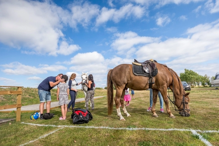 Olofsbo Camping - zdjęcie 2