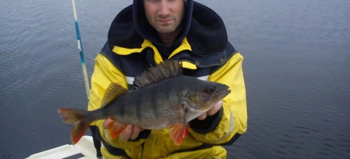 zobacz camping - zdjęcie 9