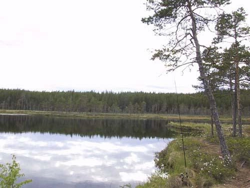 zobacz camping - zdjęcie 13