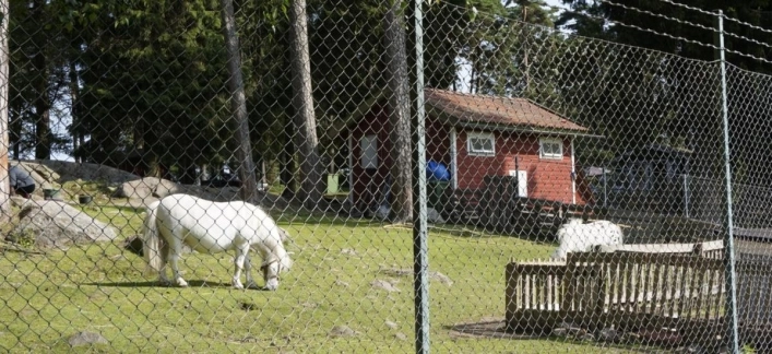 zobacz camping - zdjęcie 11