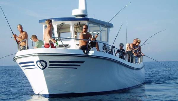 zobacz camping - zdjęcie 20