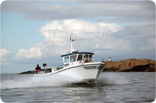 zobacz camping - zdjęcie 16