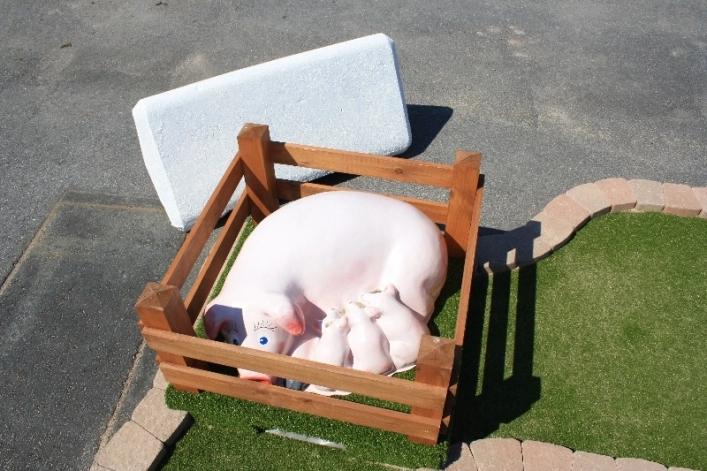 zobacz camping - zdjęcie 15