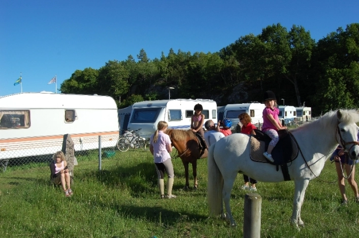 zobacz camping - zdjęcie 4