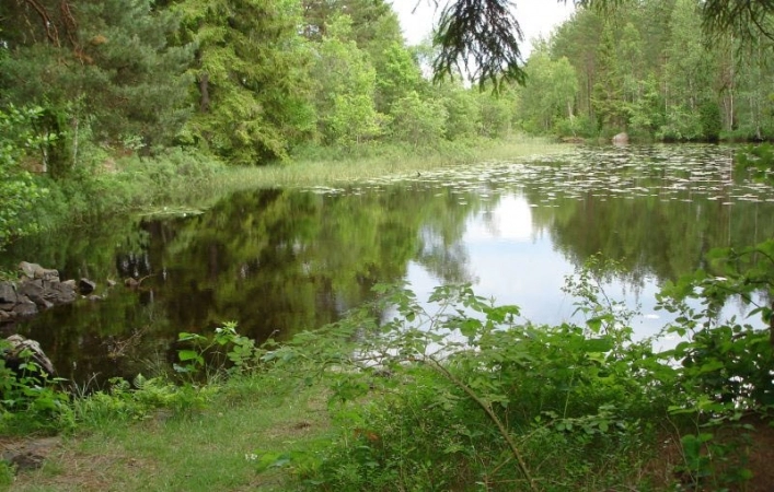 zobacz camping - zdjęcie 27