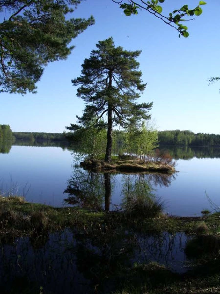 zobacz camping - zdjęcie 2