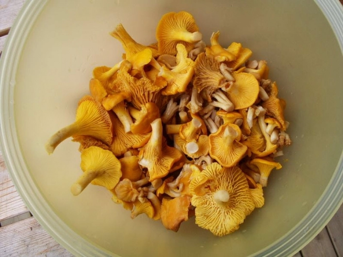 zobacz camping - zdjęcie 1