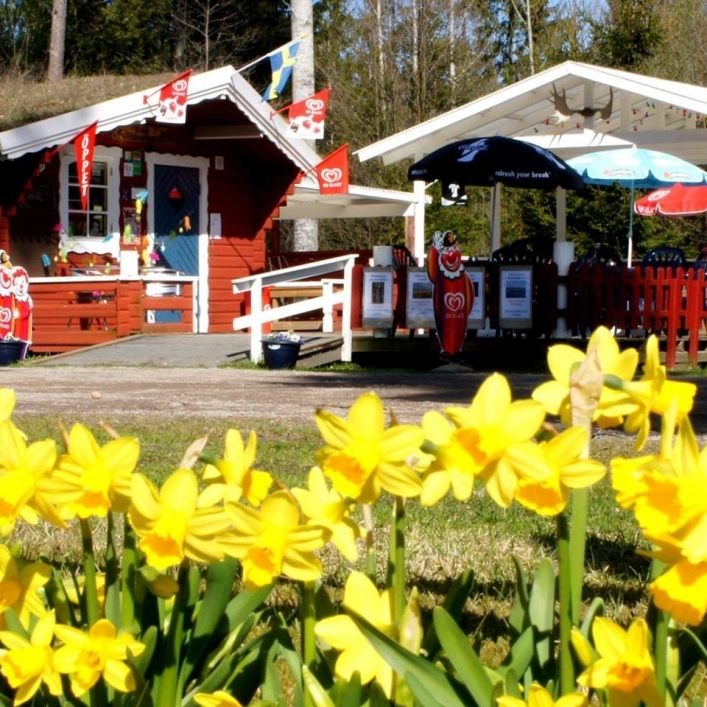 zobacz camping - zdjęcie 15