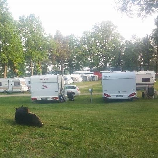 zobacz camping - zdjęcie 11