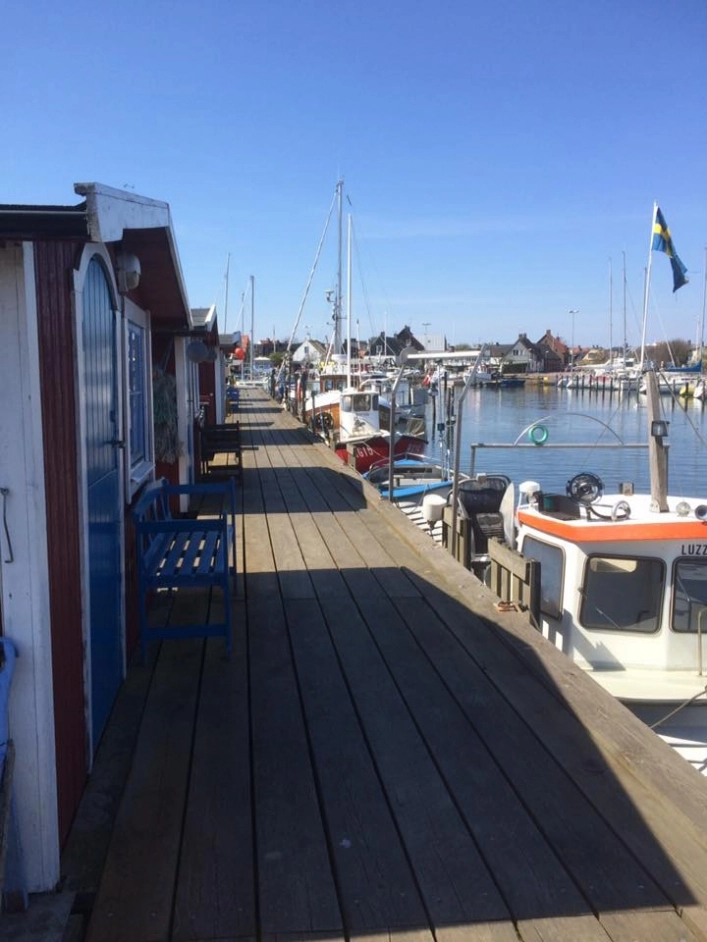 zobacz camping - zdjęcie 14