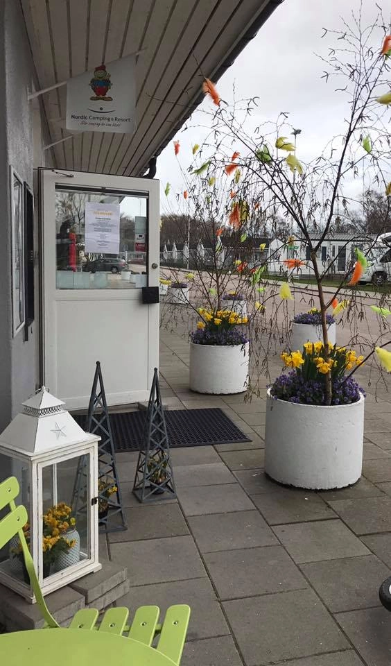 zobacz camping - zdjęcie 10