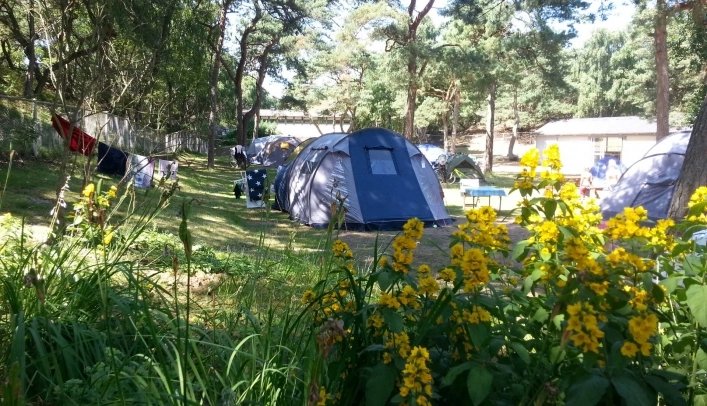 zobacz camping - zdjęcie 18