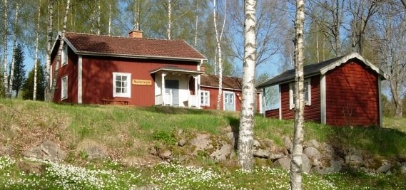 zobacz camping - zdjęcie 6