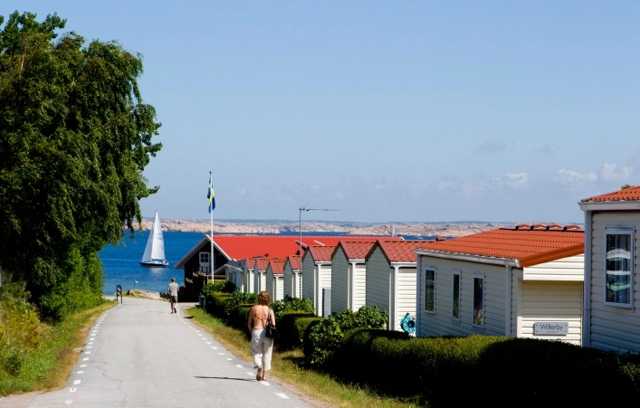 zobacz camping - zdjęcie 12