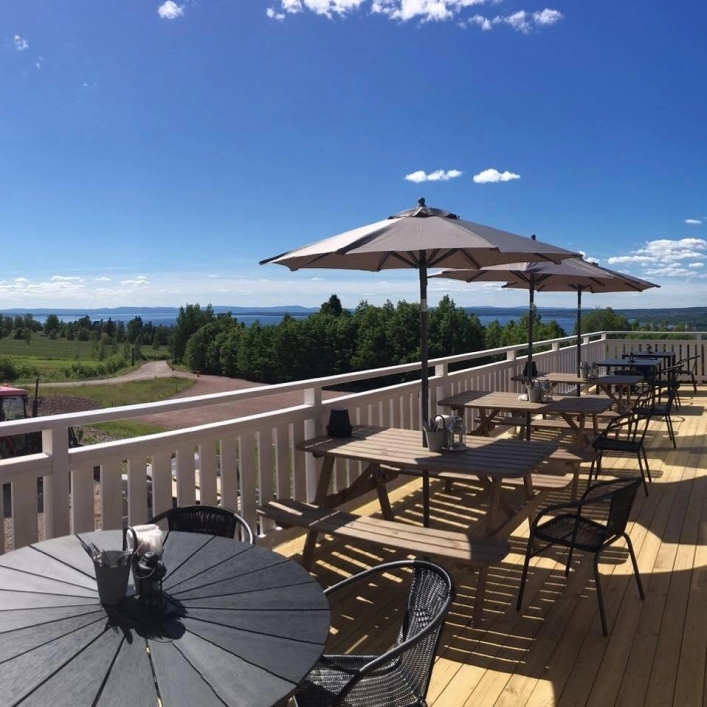 zobacz camping - zdjęcie 5