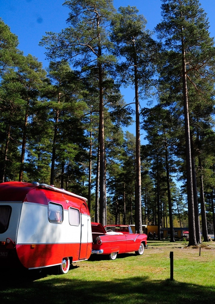 zobacz camping - zdjęcie 4